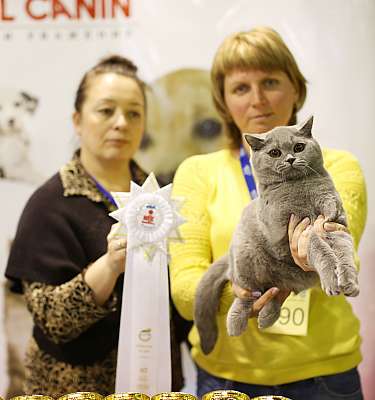 �������� ����� 18-19 ������� 2014 WCF-����� 8-69-169A3109 copy.jpg